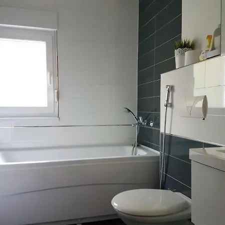 Apartman Dunja شقة